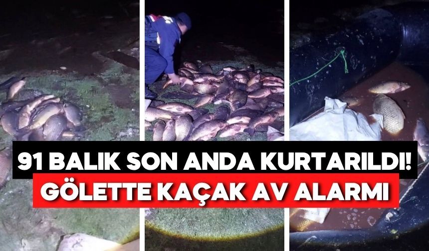 Bolu Seben Göleti’nde ağlara takılan balıklar doğaya geri bırakıldı
