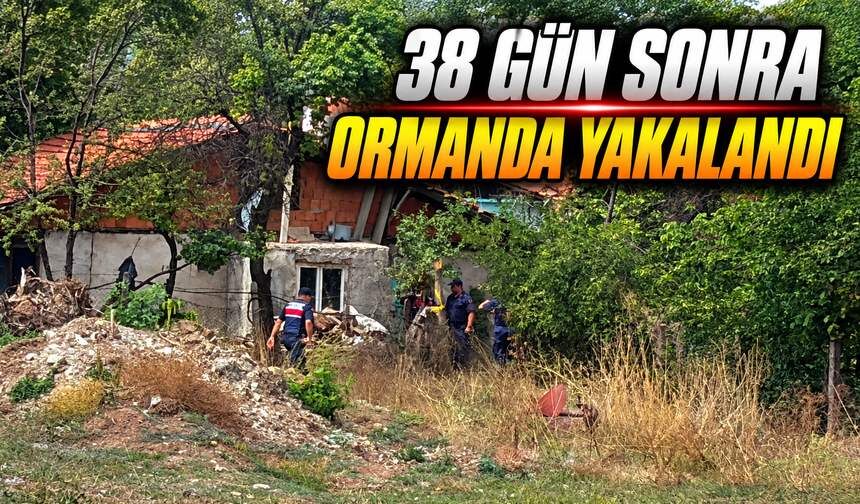 Asayiş