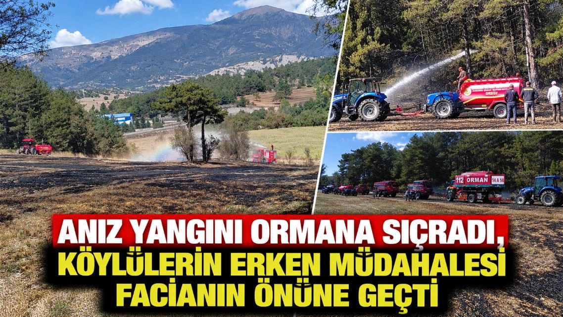 Asayiş