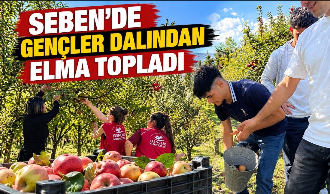 SEBEN’DE GENÇLER DALINDAN ELMA TOPLADI