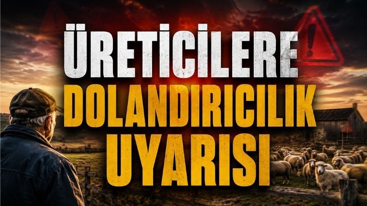 Destek Başvurularında Sahte Bildirimlere Dikkat