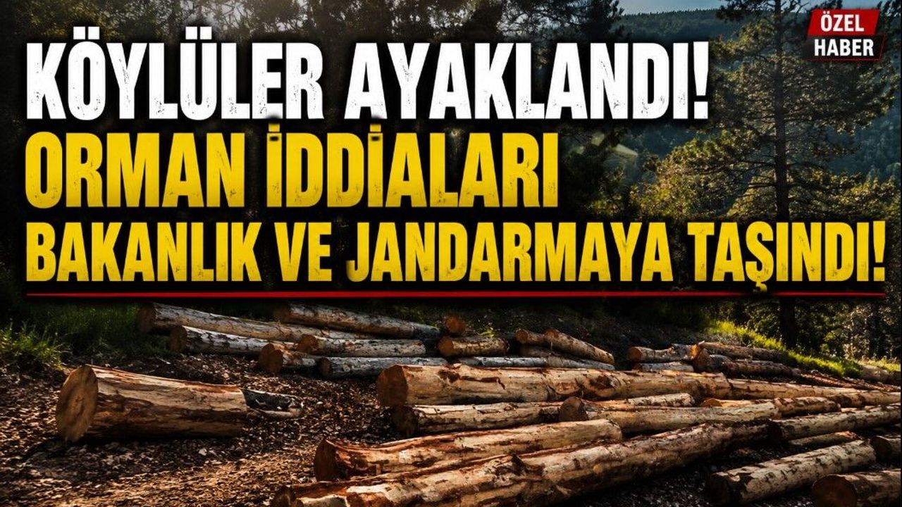 Köylüler ormanlarda usulsüz kesim yapıldığı iddiasıyla şikayetçi oldu