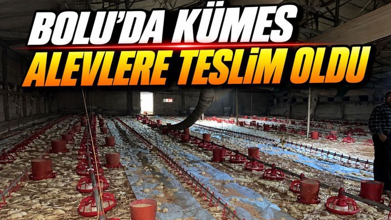 Göynük’te Kümes Yangını: 24 Bin Civciv Öldü