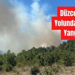 Düzce-Bolu Yolunda Orman Yangını! Ekipler Bölgeye Sevk Edildi