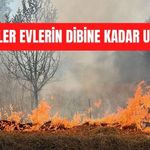 Bolu’da faciadan dönüldü: ALEVLER EVLERİN DİBİNE KADAR ULAŞTI
