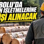 Bolu’da Orman İşletmelerine 70 Kişi Alınacak