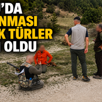 Gündem