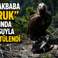 Gündem