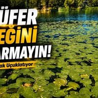 Kültür-Sanat-Yaşam