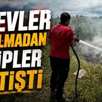 Asayiş