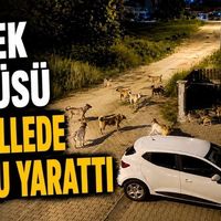 Gündem