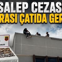 Asayiş