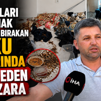 Asayiş