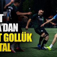 Spor