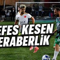 Spor