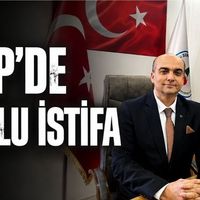 Siyaset