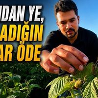 Kültür-Sanat-Yaşam