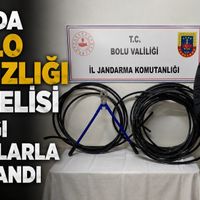 Asayiş