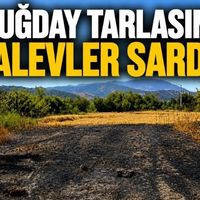 Asayiş