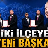Siyaset