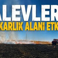 Asayiş