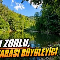 Kültür-Sanat-Yaşam