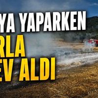 Asayiş