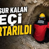 Asayiş