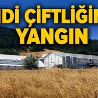 Asayiş