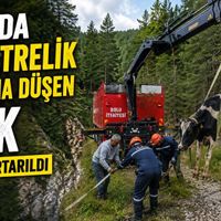 Asayiş