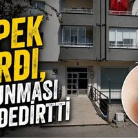 Asayiş