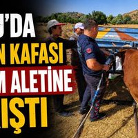 Asayiş