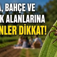 Sağlık