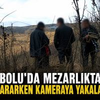 Asayiş