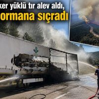 Asayiş