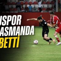 Spor