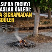 Asayiş