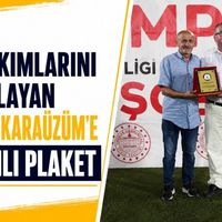 Spor