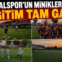 Spor