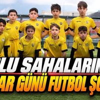 Spor