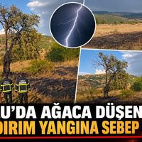 Asayiş