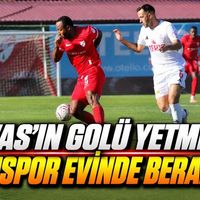 Spor