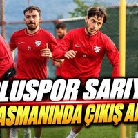 Spor