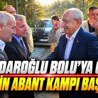 Siyaset