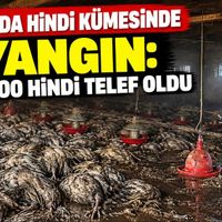 Asayiş