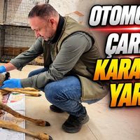Kültür-Sanat-Yaşam