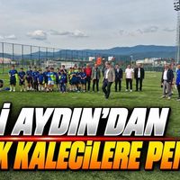 Spor