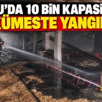 Asayiş