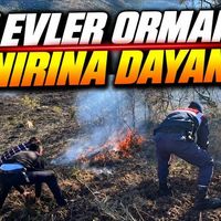 Asayiş