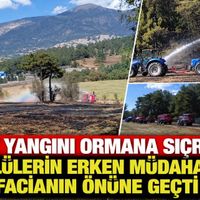 Asayiş